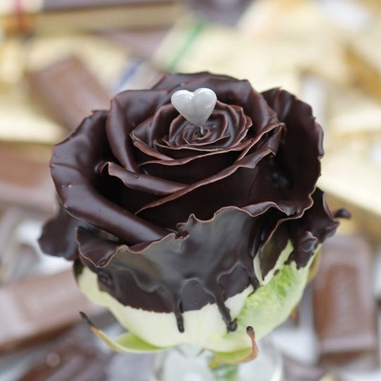 valentine-hoa-hong-socola-2800