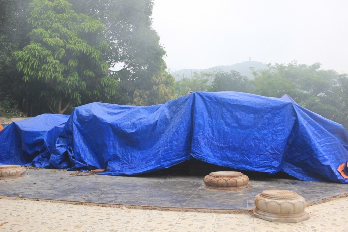 dai-gia-vang-lai-xin-gia-han-thao-do-biet-phu-tram