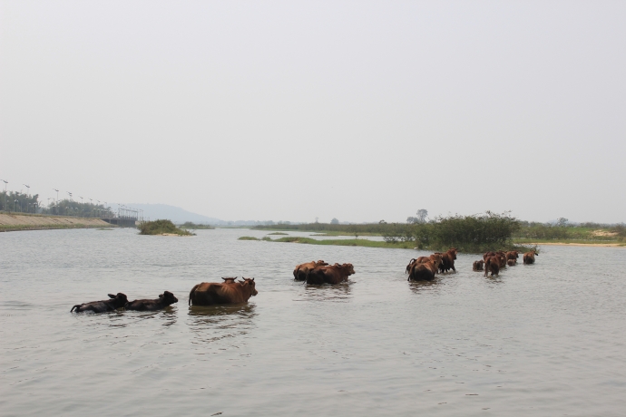 9-hoc-sinh-chet-duoi-se-lap-bien-canh-bao-doc-bo-s