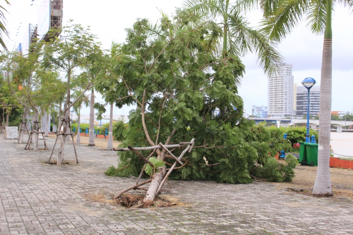 da-nang-tanh-rao-sau-bao-so-4.7