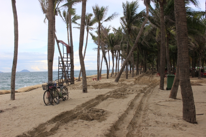 bien-cua-dai-truoc-nguy-co-xoa-so8