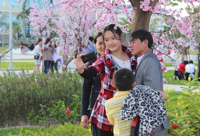 vườn đ&agrave;o (7)