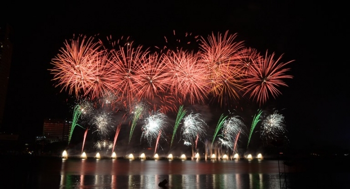 ph&aacute;o hoa Đ&agrave; Nẵng (9)