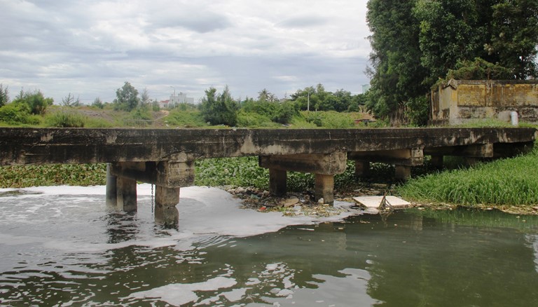 c&aacute; chết (5)