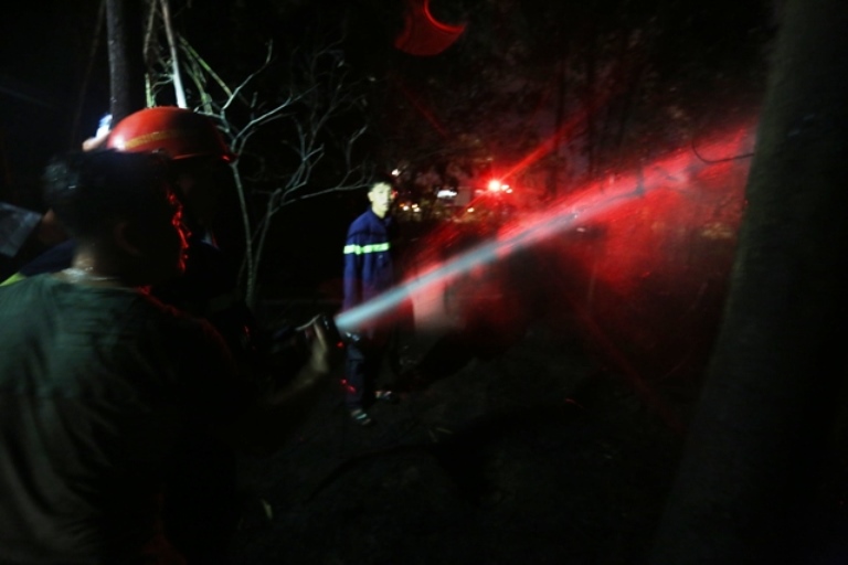 ch&aacute;y rừng (1)