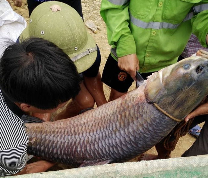 13625375_1048111365308406_2271569331229003717_n (2