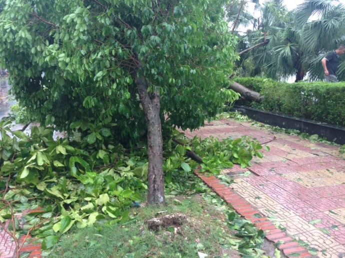 13626433_10201787505325920_936868409422523936_n