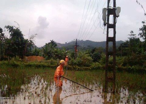 13672174_275386286167573_1756220997_n