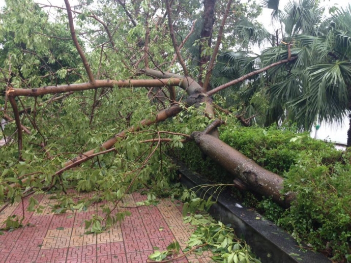 13882345_10201787505085914_2469386849842272754_n