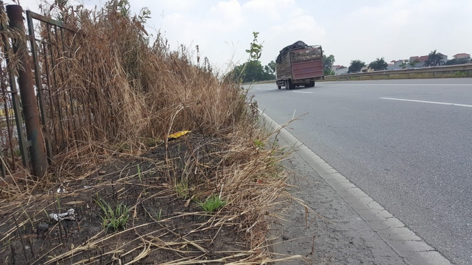 14964225_1149363575110771_848516365_o