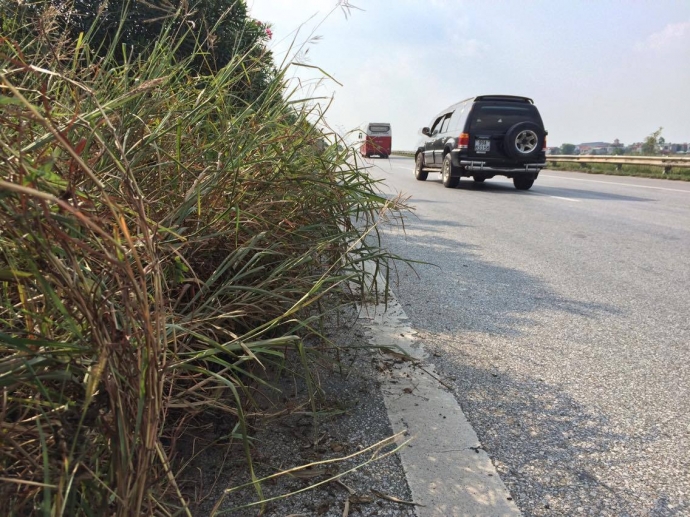 14970979_629563707213804_702780747_o