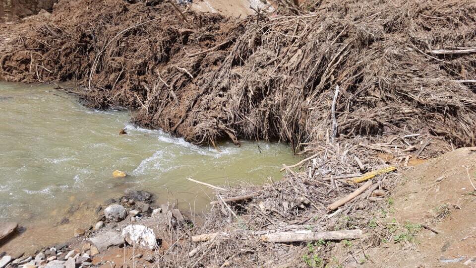 21040514_776846802485493_1224860246_n