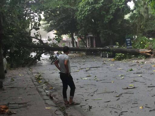 20993915_1546456075376611_617075056070170537_n