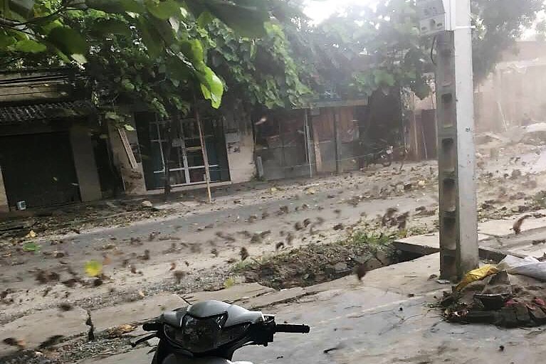 21055009_1546456042043281_6041228917339156104_o