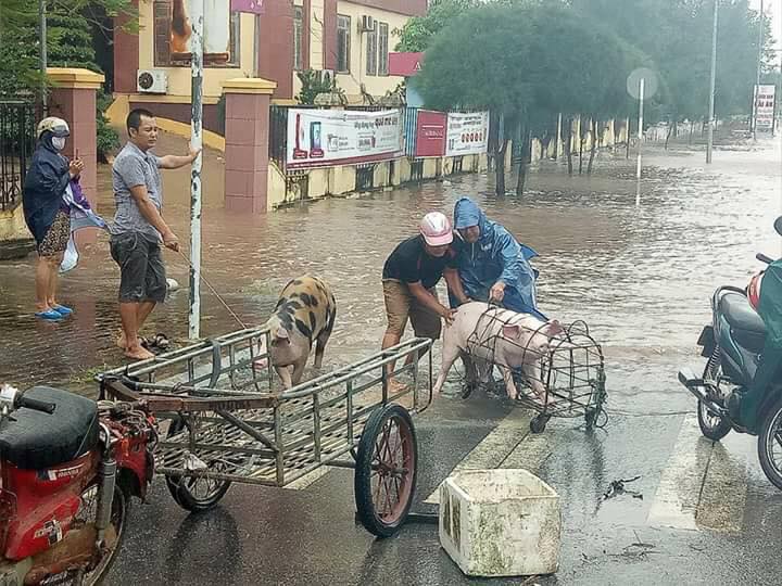 21743191_1950728261852616_2835549512969327504_n