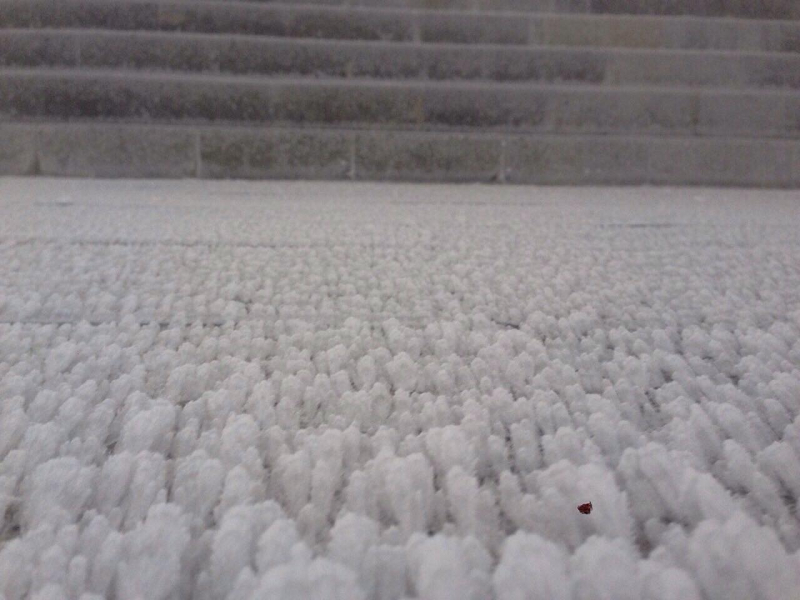 25551601_530471003995159_1708995372_o