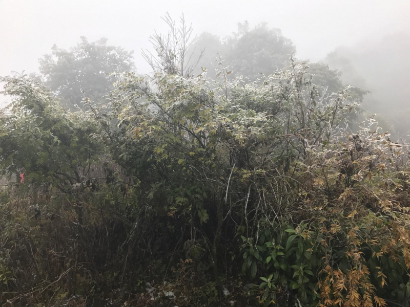 27746959_1793587944044632_686567493_o