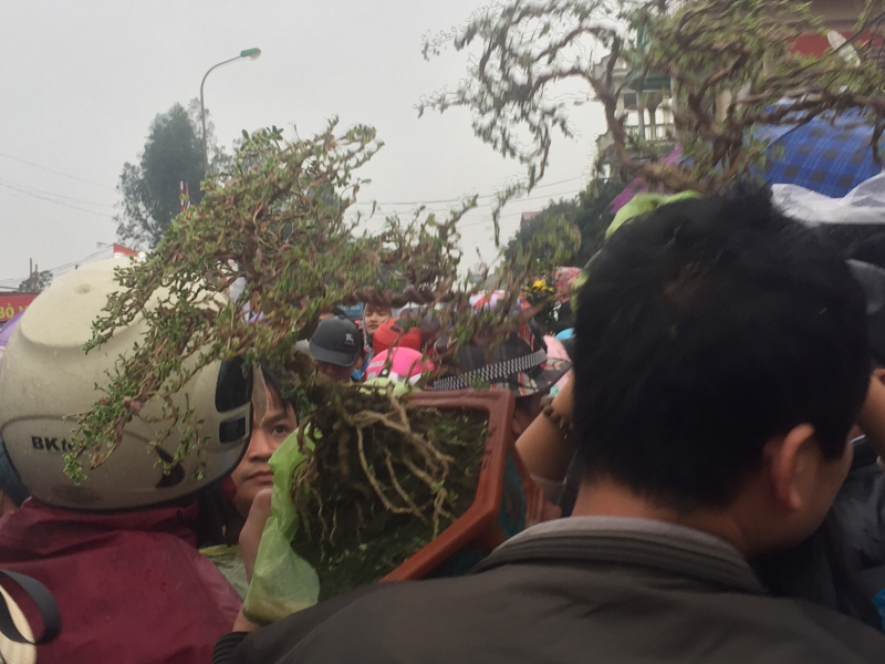 5756ec10a0984fc61689