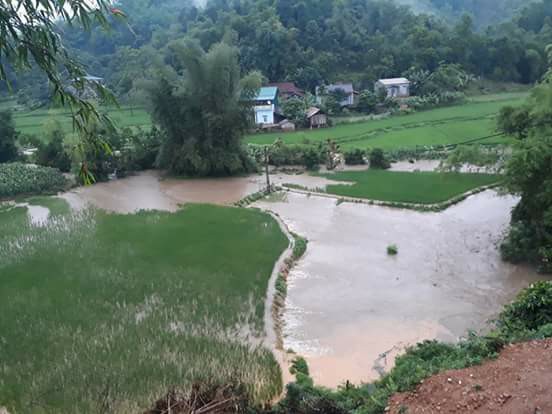 32191565_2055286104730231_2244276362422517760_n