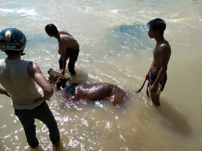 11393151_724681820975473_6872228519274964205_n