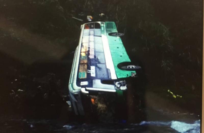 35350384_1759712594111054_8507403449627836416_n