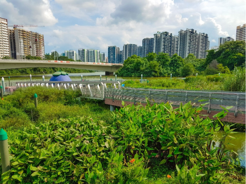 Giải ph&aacute;p tho&aacute;t nước chống ngập ở Singapore- Ảnh 4.