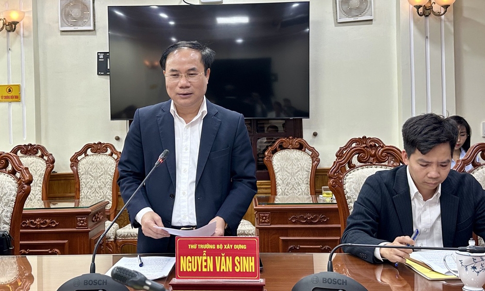 Thứ trưởng Nguyễn Văn Sinh: H&agrave; Nam phải khẩn trương đạt mục ti&ecirc;u ph&aacute;t triển nh&agrave; ở x&atilde; hội- Ảnh 2.
