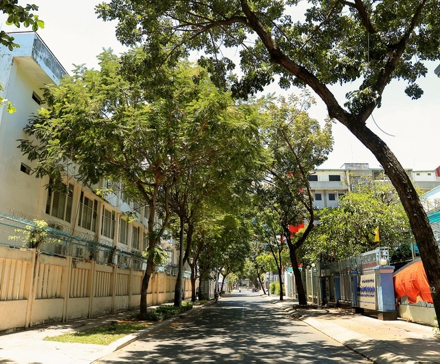 co mot sai gon vang ve ngoai suc tuong tuong