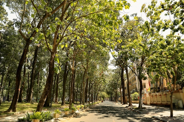 co mot sai gon vang ve ngoai suc tuong tuong