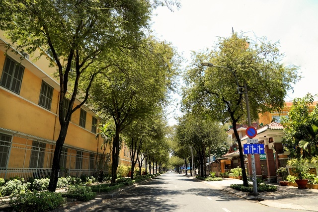 co mot sai gon vang ve ngoai suc tuong tuong