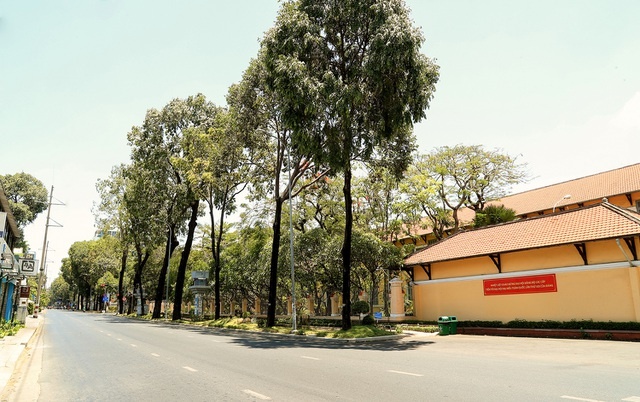 co mot sai gon vang ve ngoai suc tuong tuong