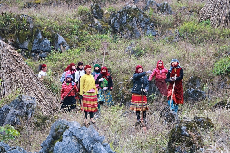 co mot ha giang doc dao noi dia dau dat nuoc
