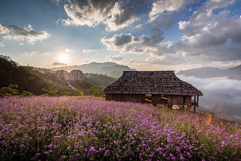 di choi cong vien sao cho van minh