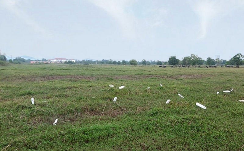 Bài 41: Dự án trường Đại học Công nghệ Vạn Xuân giai đoạn 2 sau 12 năm vẫn là bãi đất trống bai 41 du an truong dai hoc cong nghe van xuan giai doan 2 sau 12 nam van la bai dat trong