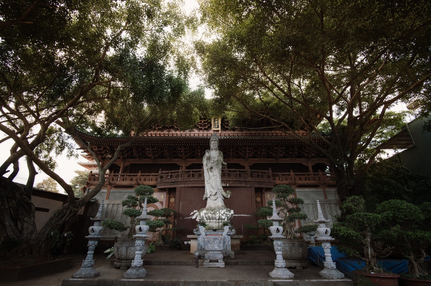 ngoi chua kien truc doc dao khuon vien xanh mat noi tieng nhat gia lai
