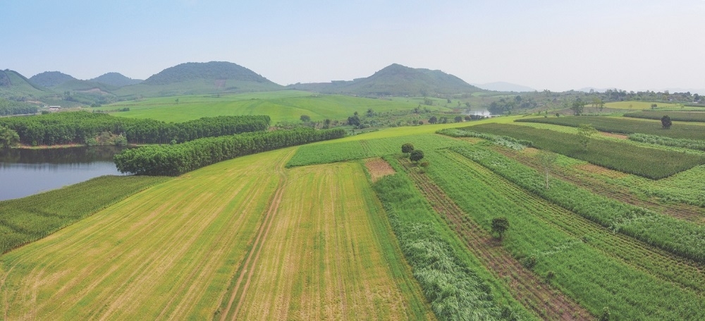 th true milk tu ly sua tuoi sach thuc day mot viet nam xanh