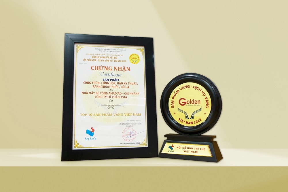 top 10 san pham vang viet nam 2022 goi ten be tong amaccao