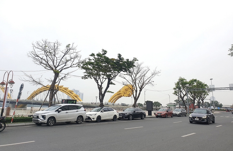 da nang thu phi do xe oto duoi long duong