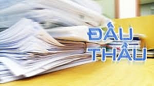nha thau cung co co phan co bao dam canh tranh trong dau thau