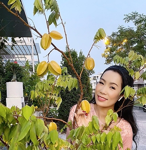 vuon cay trong biet thu 200 m2 cua trinh kim chi