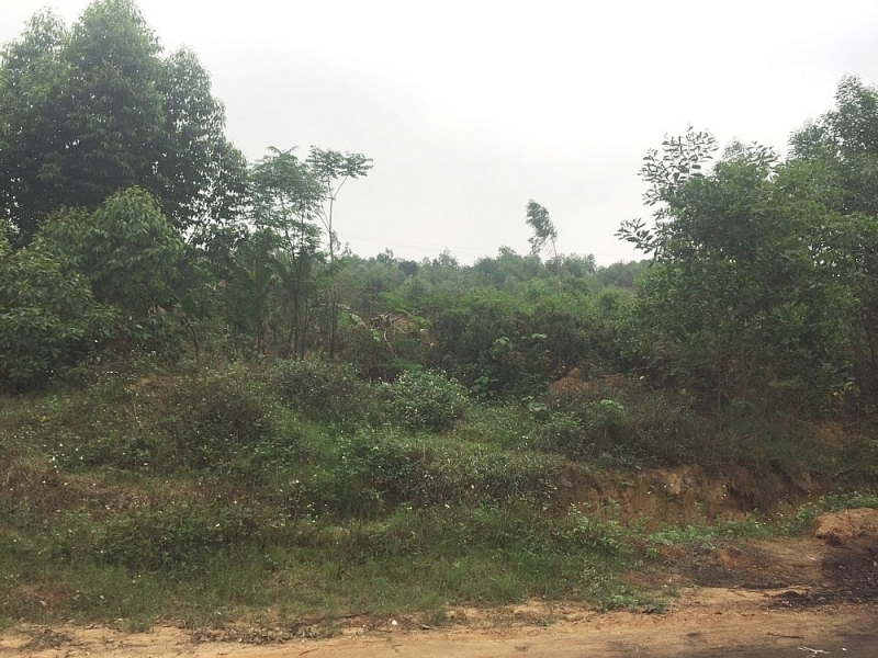 vinh phuc can lam ro don thu khieu nai cua nguoi dan