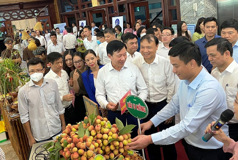 hai duong nhieu giai phap nang cao gia tri qua vai thieu va cac san pham tieu bieu