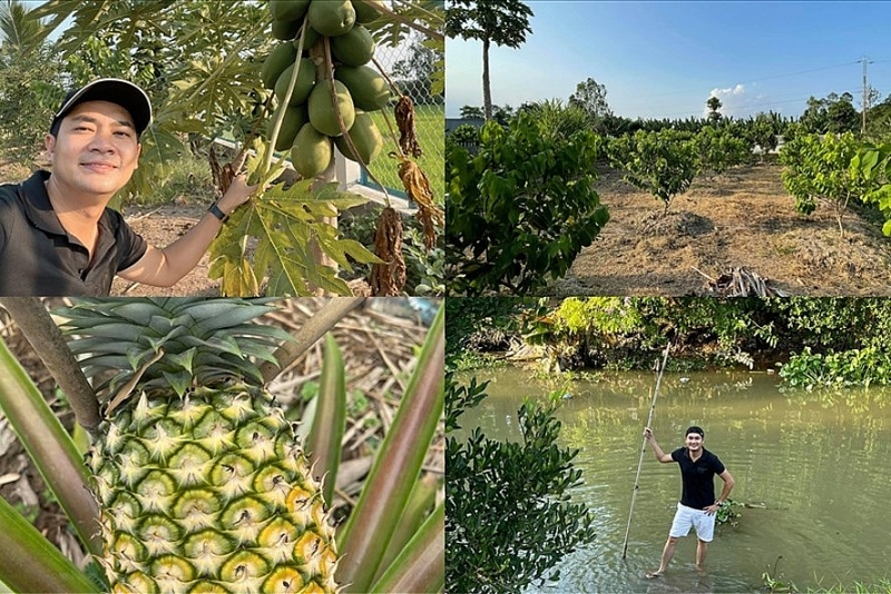 Diễn viên Minh Luân cải tạo khu vườn 2000m2 trồng loạt cây ăn trái dien vien minh luan cai tao khu vuon 2000m2 trong loat cay an trai