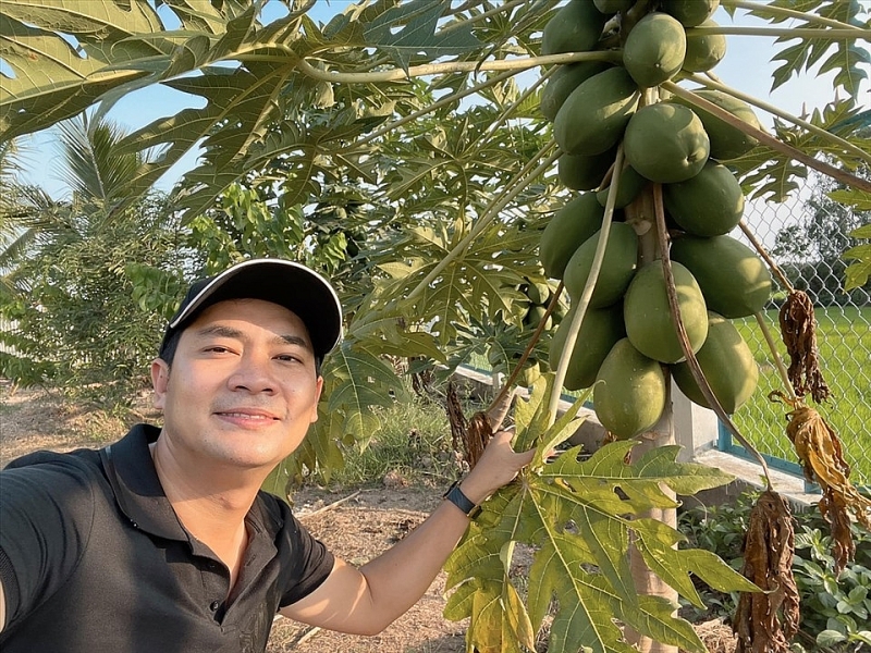 Diễn viên Minh Luân cải tạo khu vườn 2000m2 trồng loạt cây ăn trái dien vien minh luan cai tao khu vuon 2000m2 trong loat cay an trai