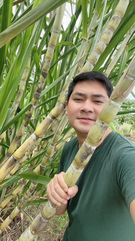 Diễn viên Minh Luân cải tạo khu vườn 2000m2 trồng loạt cây ăn trái dien vien minh luan cai tao khu vuon 2000m2 trong loat cay an trai