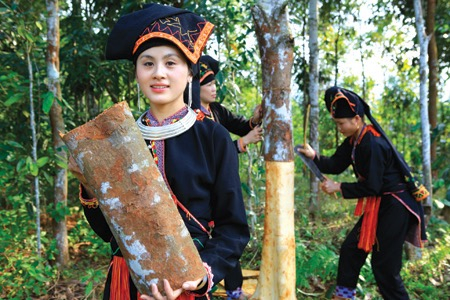yen bai phat trien kinh te xa hoi va an dan