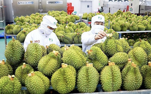 Việt Nam cần khai th&aacute;c cơ hội v&agrave;ng tại Trung Quốc, Hoa Kỳ, EU như thế n&agrave;o?