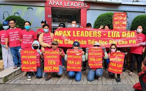 Từ l&ugrave;m x&ugrave;m vụ Shark Thủy, trường quốc tế AISVN: Cần bịt lỗ hổng tr&aacute;nh rủi ro huy động vốn