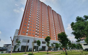 Đề xuất b&aacute;n, cho thu&ecirc; nh&agrave; t&aacute;i định cư bỏ hoang