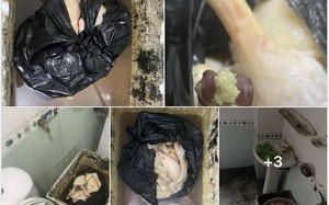 X&aacute;c minh vụ qu&aacute;n ăn bị tố d&ugrave;ng vịt c&oacute; gi&ograve;i, để cạnh bồn cầu ở TX Đ&ocirc;ng Triều